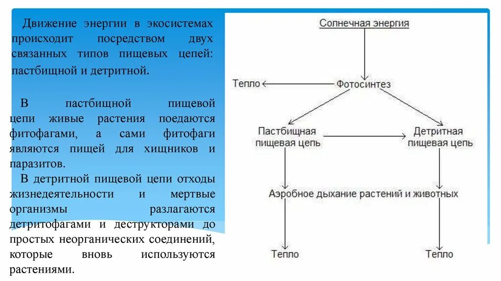 Движение веществ в экосистемах. Движение энергии в экосистеме. Движение энергии в экосистеме схема. Движение вещества и энергии в биогеоценозе.