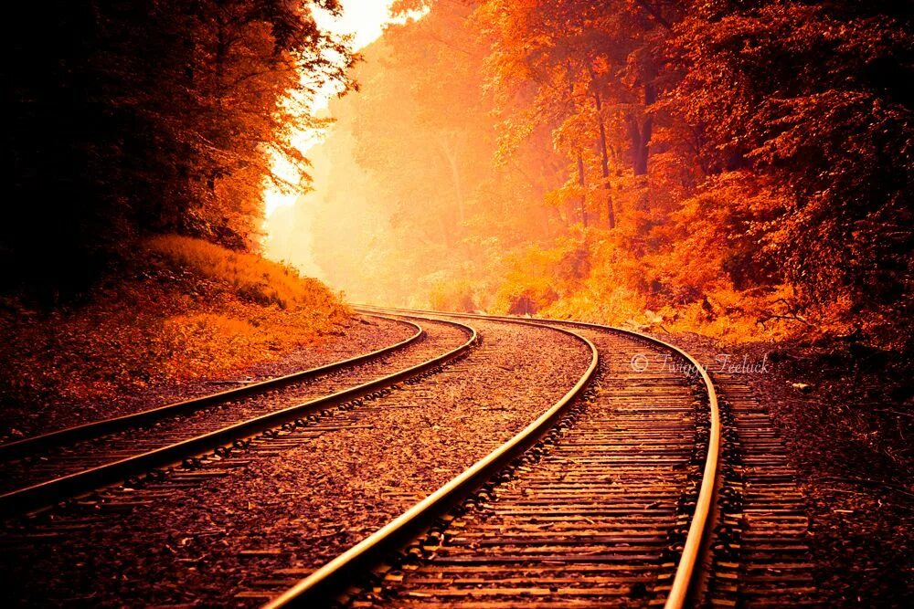 Рельсы. Красивые фото жд. Дорога закат. Дорога к солнцу фото. Пейзаж с дорогой.