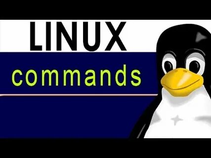 Man linux