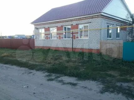 Авито шемурша