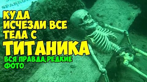 Куда делись тела