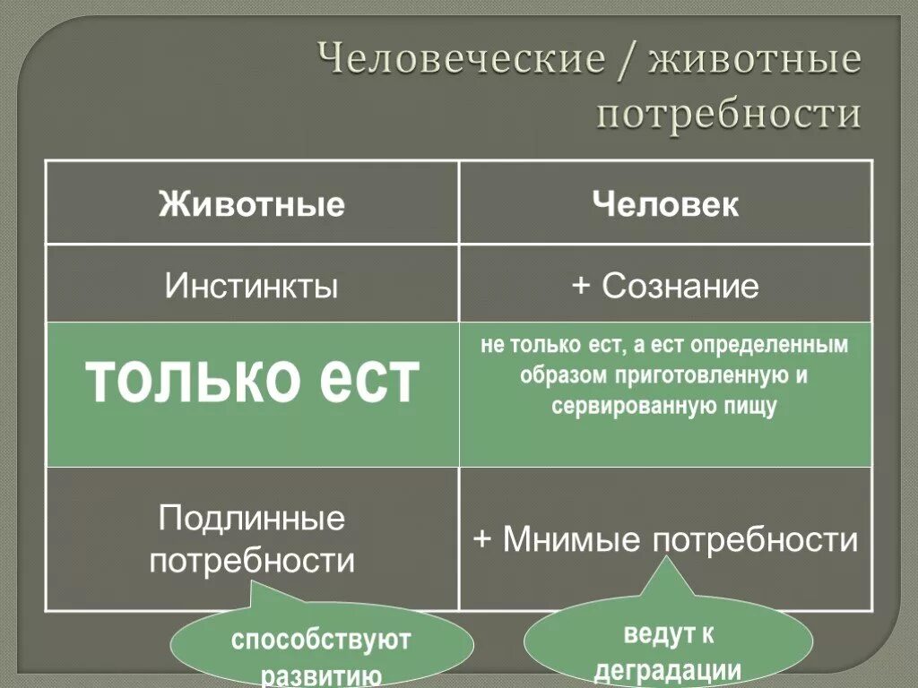 Основные потребности человека и животных