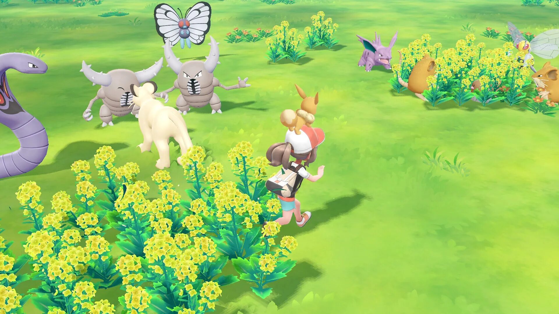 Lets go to park. Покемон Lets go Eevee. Pokémon Let’s go Pikachu и Let’s go Eevee. Игра Nintendo Pokemon: Let's go, Eevee! Cover. Иви и покемон обои.