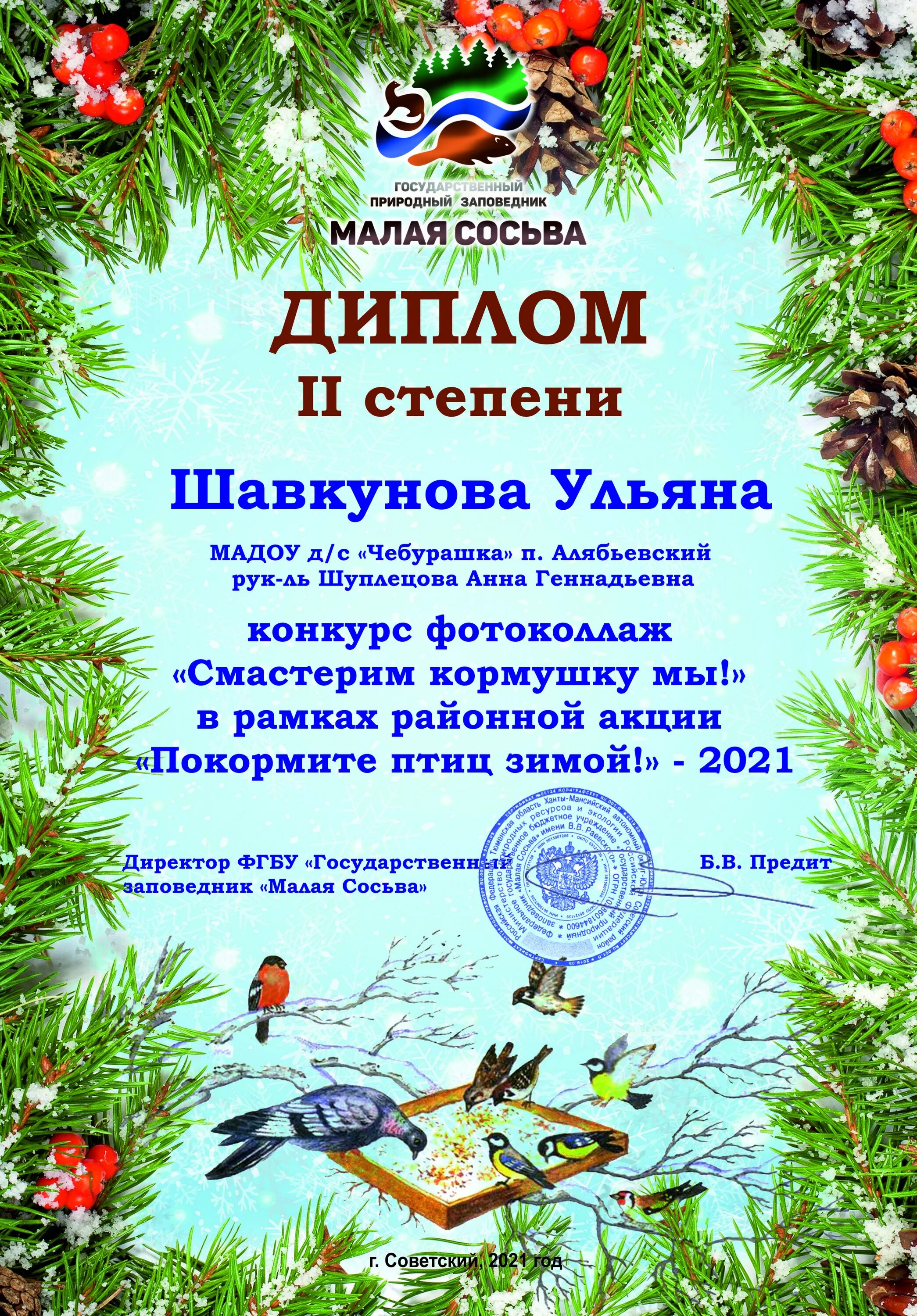Конкурс покормите птиц. Покормите птиц зимой диплом. конкурс покормите птиц зимой. конкурс покорми птиц зимой. грамота за конкурс покорми птиц зимой.