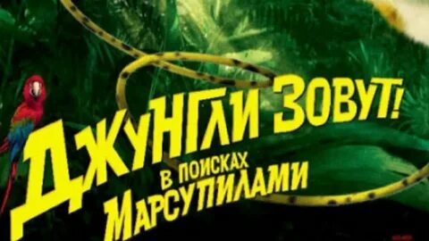 Джунгли тебя зовут песня