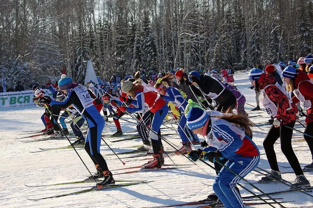 лыжня россии. лыжня колтуши. классическая лыжня. без него какая лыжня. массовый лыжный забег.