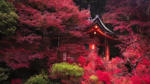 Japan trek