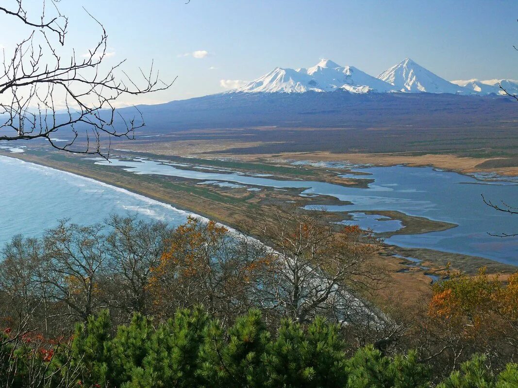 Р камчатка