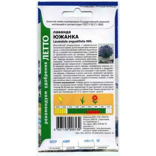 Лаванда сорт южанка. Лаванда сорт южанка