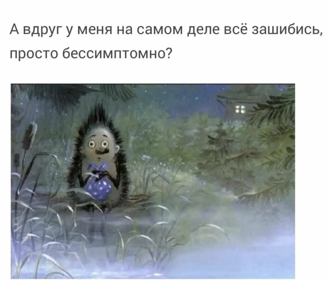 Вот он ежик. Ежик в тумане. грустный ежик. грустный ежик в тумане.