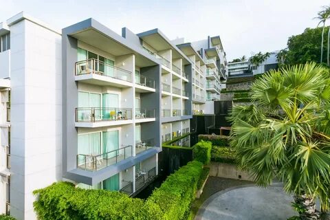 Sugar palm grand 4