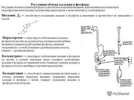 Как снизить уровень кальция