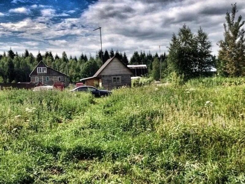 Деревня орешки московская область. Участки в снт рузское. Участки в снт рузское. Участки в снт рузское. Снт доваторовец рузский.