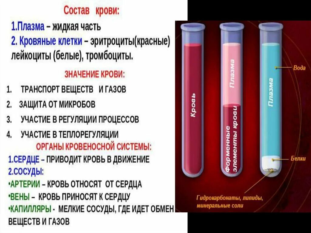 Состав крови жидкая часть. Жидкая часть плазмы крови. Плазма крови состоит из. Кровь состоит из жидкой части. Объем жидкой части крови