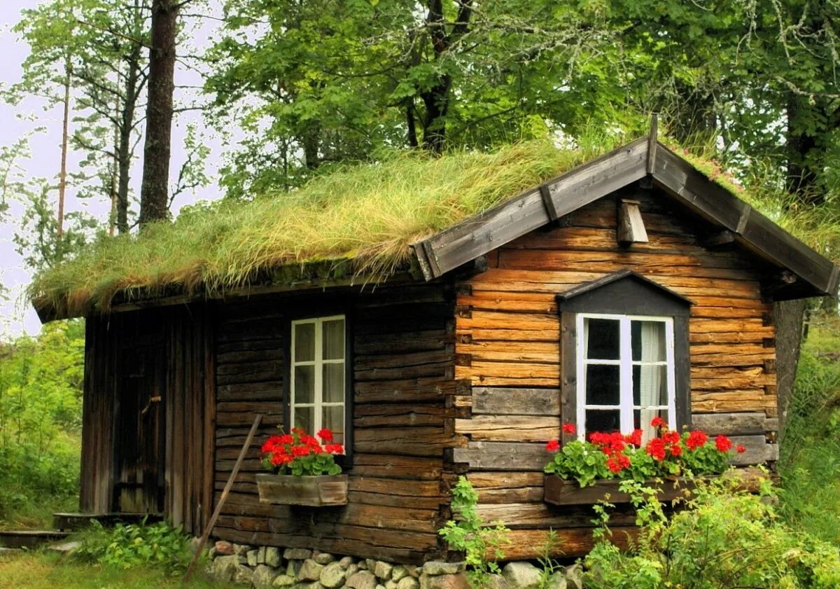 Деревянная сторожка. Лесная изба в лесу марий эл. Домик лесника зеленогорск. Рыбачья сторожка. Сторожка на русском.