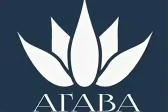 Agava games