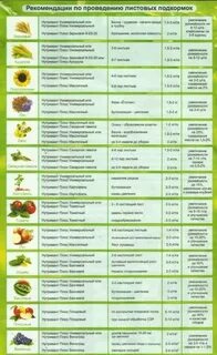 Подкормка овощных культур удобрениями
