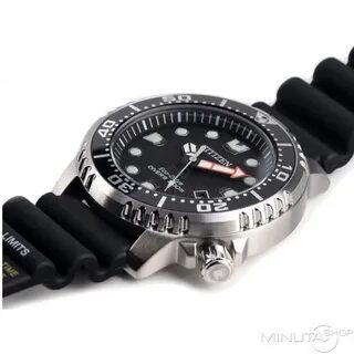 Citizen promaster