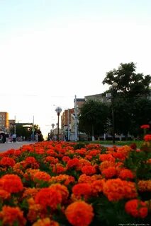 Лету калуга