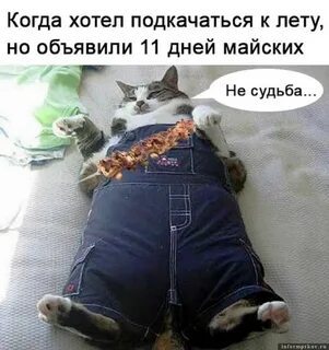 Мемы про майские праздники