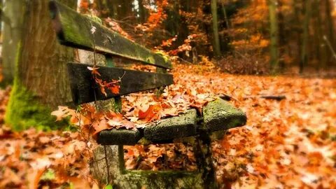 Подводка про осень