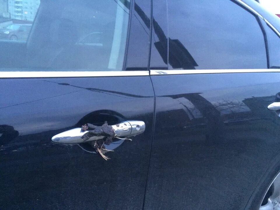 Как наказать хама. Как наказать хама. Наказать хама. Цитаты про хамство и грубость. Мгновенная карма девушке.