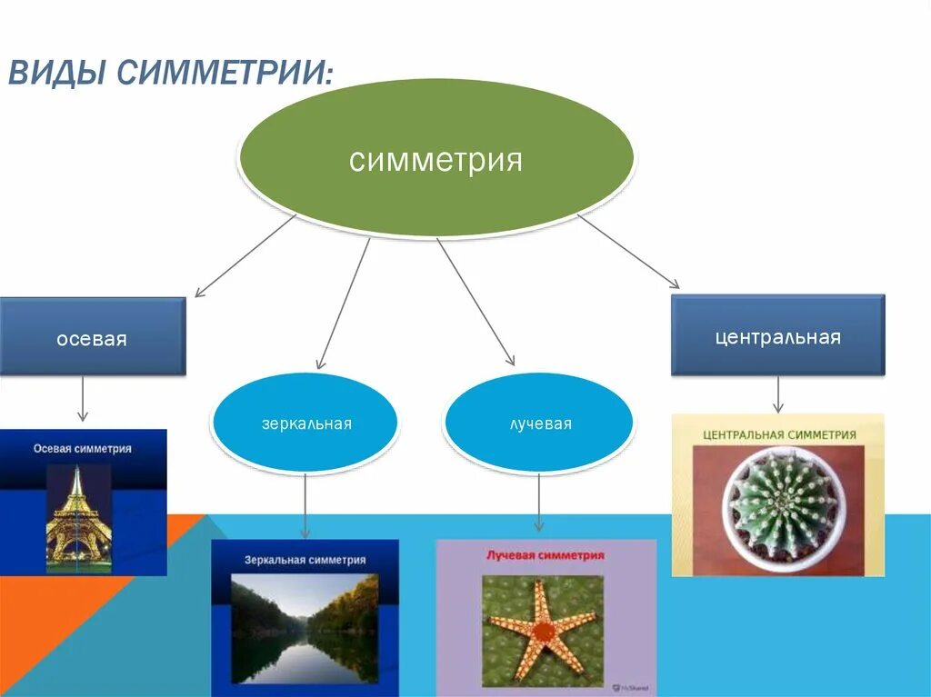 Какие есть симметрии тела