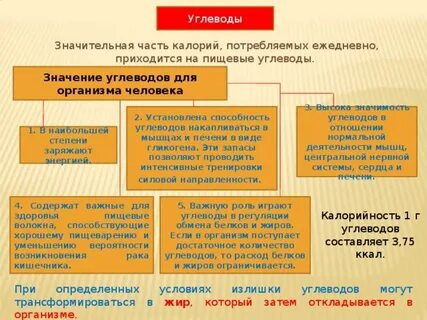 Углеводы значение