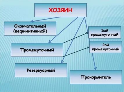 Дефинитивный это