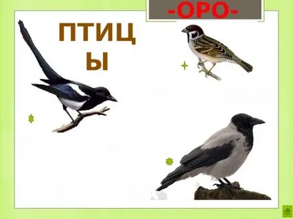 Ворона воробей учитель