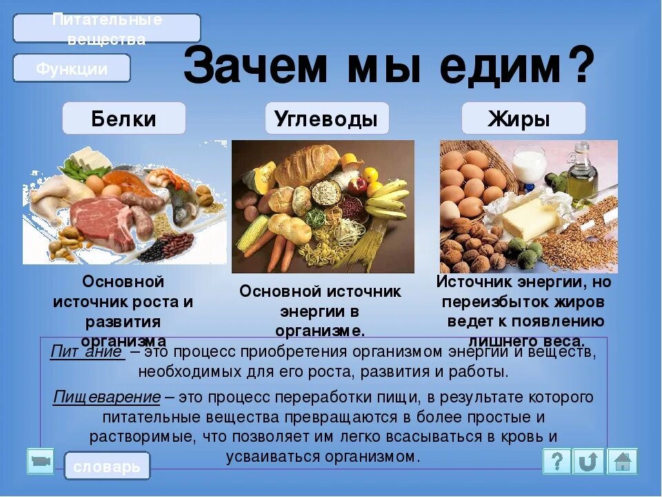 Как получить много белков