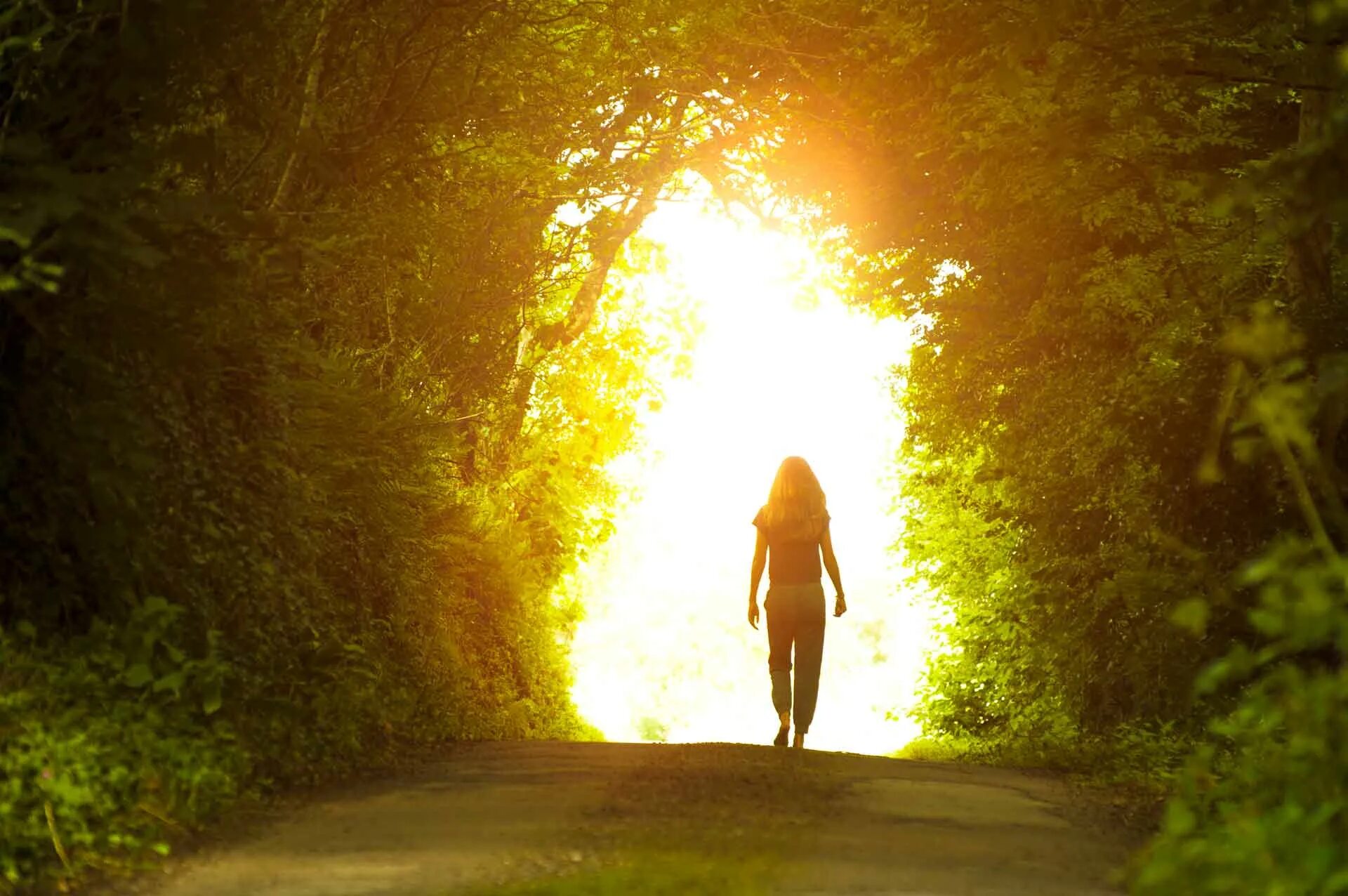 Go to the light