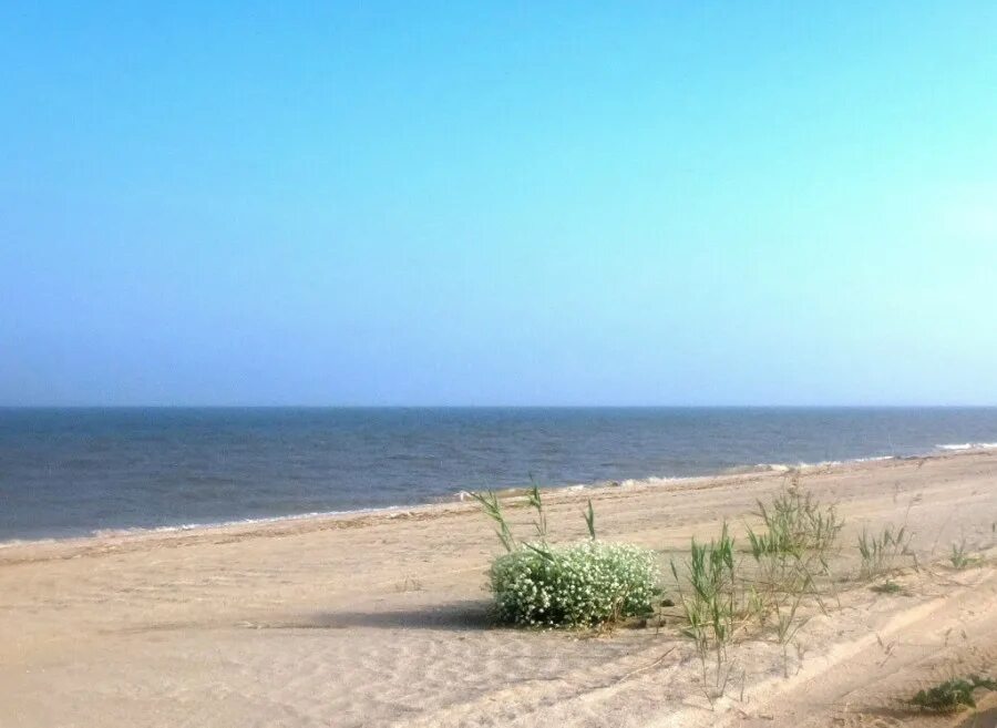 Ясенская пляжи. Ясенская коса хутор морозовский. Ясенская коса хутор морозовский. Ясенская пляжи. Ясенская пляжи.