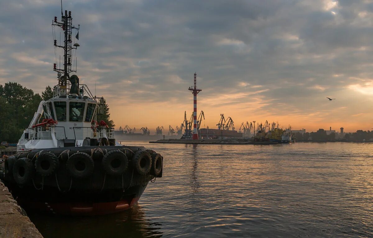 Таможенный пост гавань. Пост гавань. Таможенный пост гавань броев. Таможенный пост гавань балтийской таможни. Пост гавань.