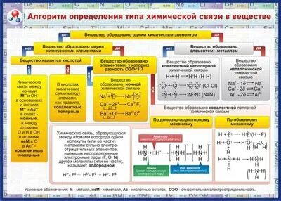 Тип в химии это. Тип в химии это
