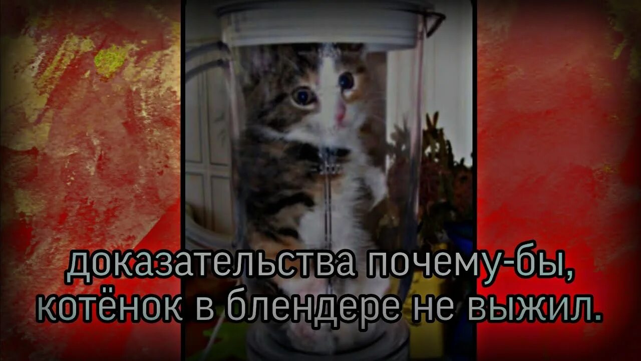 Кот в блендере без замазки видео. Кот в блендере без замазки видео. Кот в блендере без замазки видео. Кот в блендере без замазки видео. Кот в блендере без замазки видео.