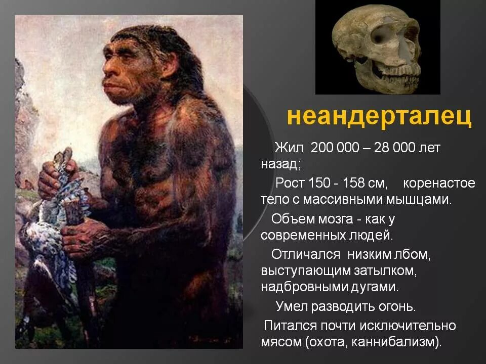 Неандерталец. Неандерталец жил. Древние люди Палеоантропы. Неандертальцы жили. Человек живет 1000 лет