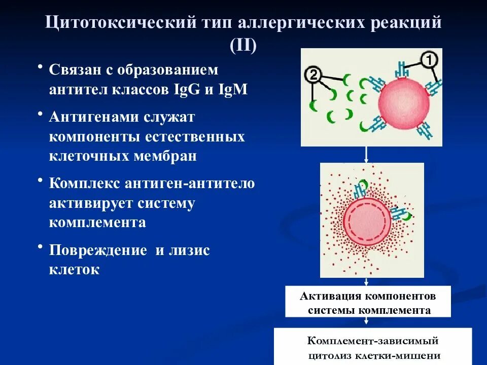 Механизм цитотоксической аллергической реакции. Второй Тип аллергических реакций иммунология. Цитотоксический Тип аллергической реакции 2 типа. Механизм развития аллергической реакции цитотоксического типа. Аллергия типы реакций