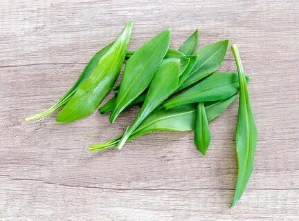 Растение вкус