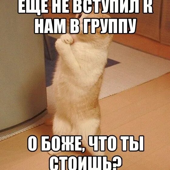 Найди пожалуйста быстрее