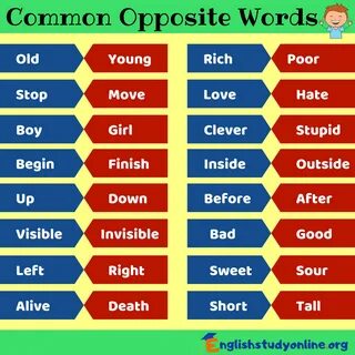 Begin noun