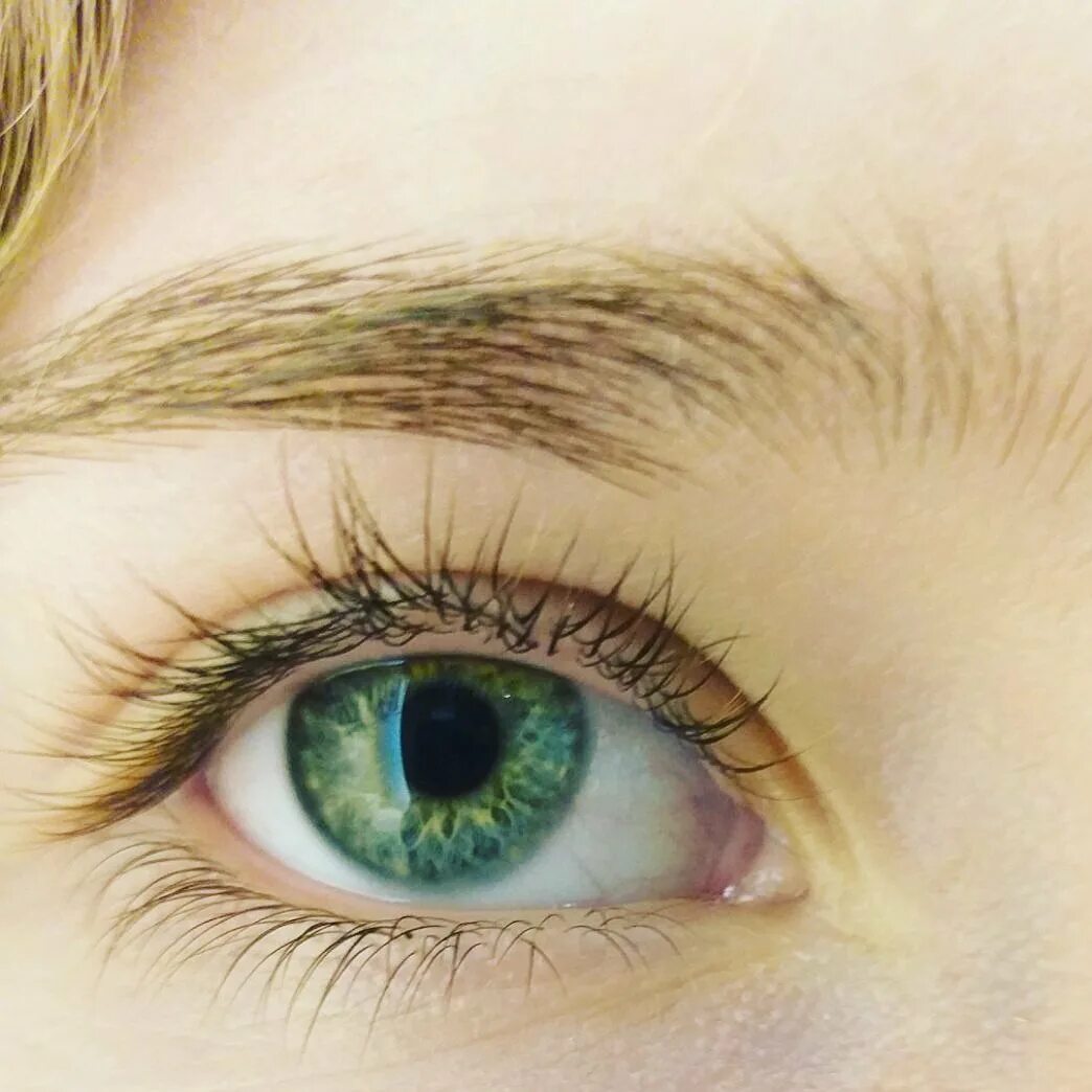 Зеленые глаза на свету. Зелёные глаза. Изумрудно зеленые глаза. Светло зеленый цвет глаз. Зелёные глаза Эстетика.