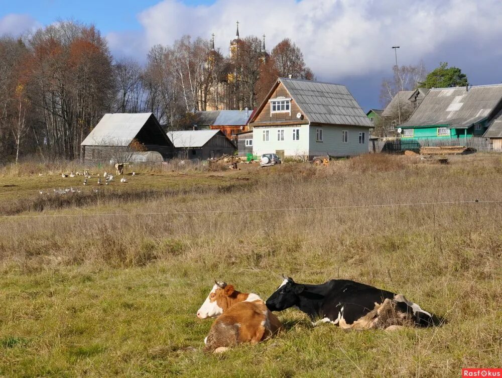 Жизнь в деревне. Деревенская жизнь. Жизнь в селе. Жизнь в русской деревне.