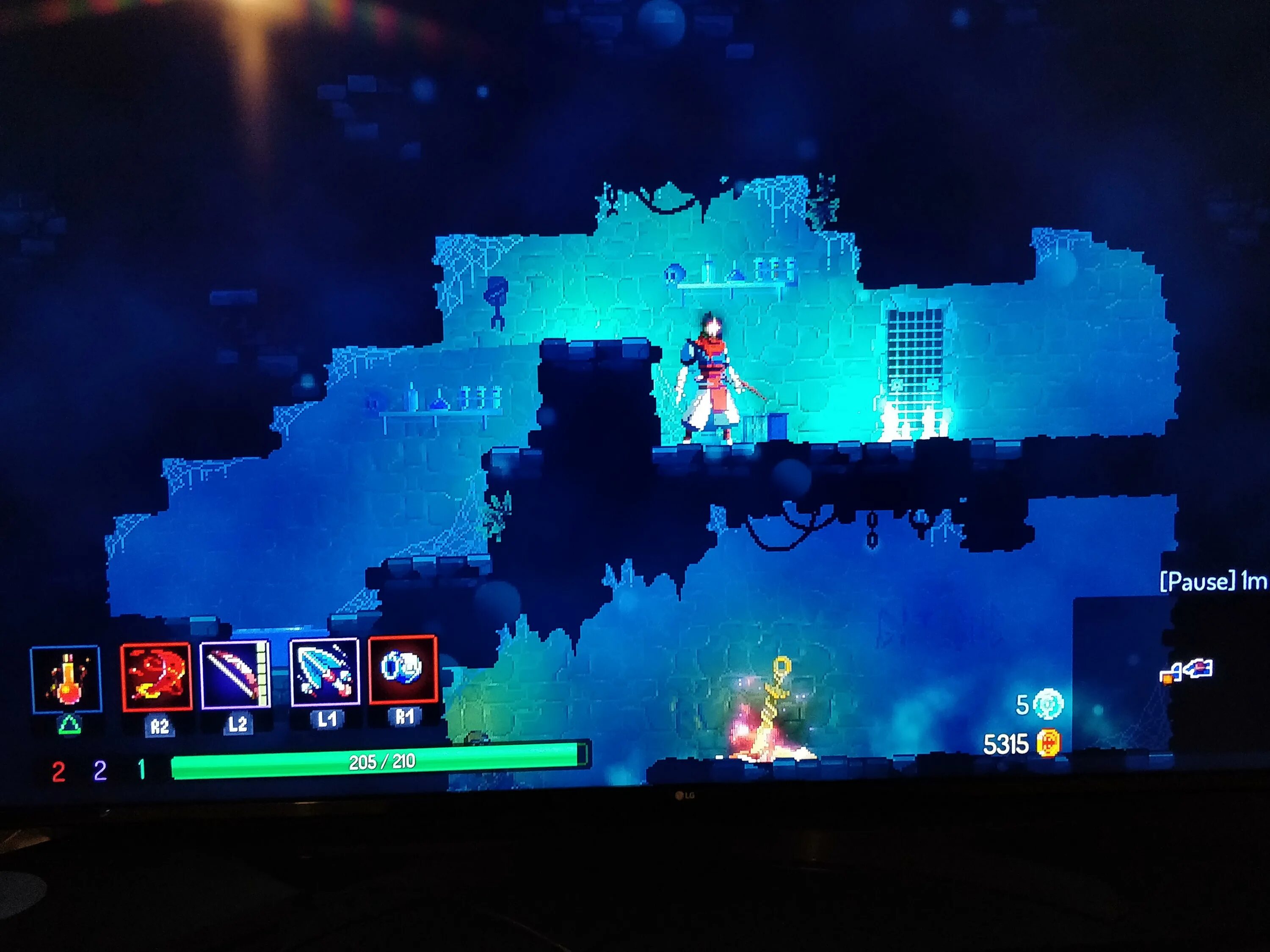 Dead cells неугасимый. Dead cells. безымянный dead cells. dead cells геймплей. dead cells костюмы.