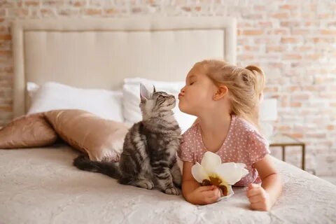 Дети коты