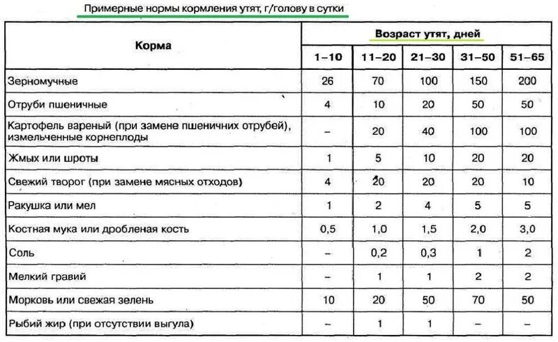 Норма кормления уток мулардов. Норма корма для уток мулардов. Рацион кормления утят суточных. Рацион питания утят.