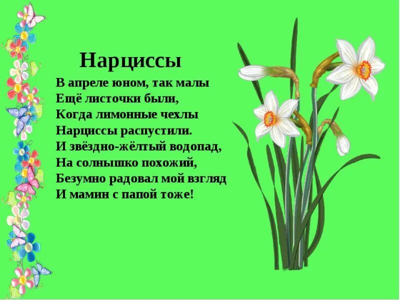 Стмхи отцветах красивые. Стихи и загадки о цветах. Детские стишки про цветы. Стихи про сад цветов. Космея бархатцы алиссум.