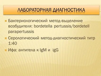 Антитела bordetella