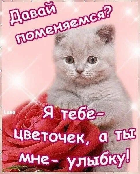 Открытка улыбаемся. Дарю улыбку картинки. Улыбнись ты лучше всех гиф. Ты улыбка ты цветок ты радость. Открытки с комплиментами девушке.