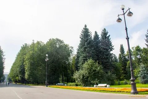 Приморский парк победы фото